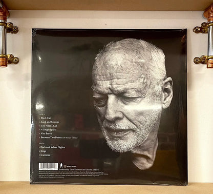 David Gilmour – Luck And Strange