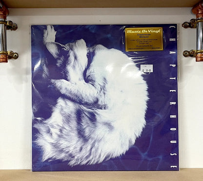 Chapterhouse – Whirlpool