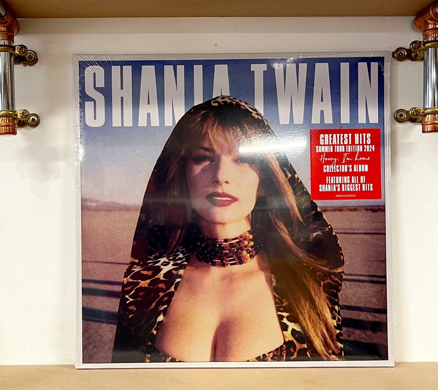Shania Twain – Honey, I'm Home - Greatest Hits