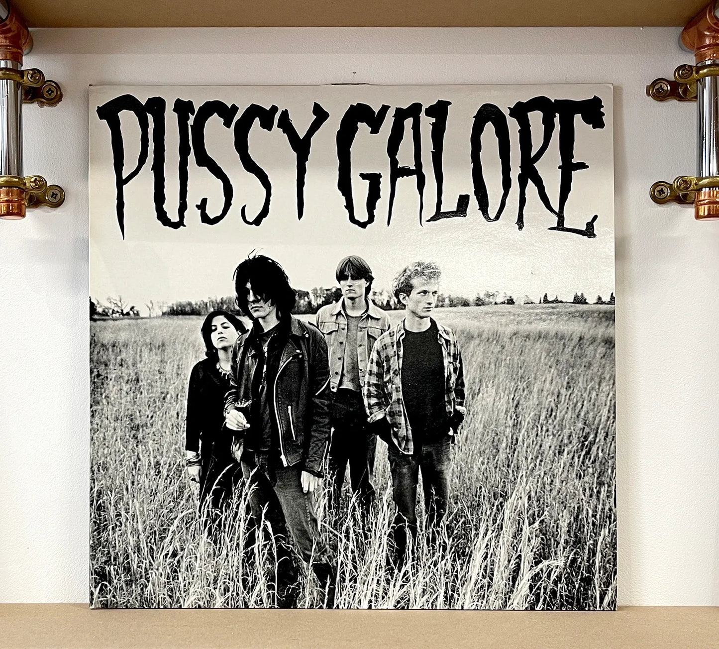 Pussy Galore – Groovy Hate Fuck (Feel Good About Your Body)