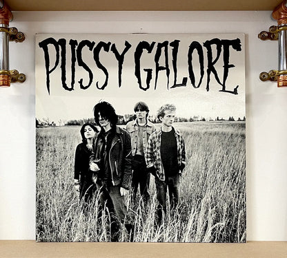 Pussy Galore – Groovy Hate Fuck (Feel Good About Your Body)
