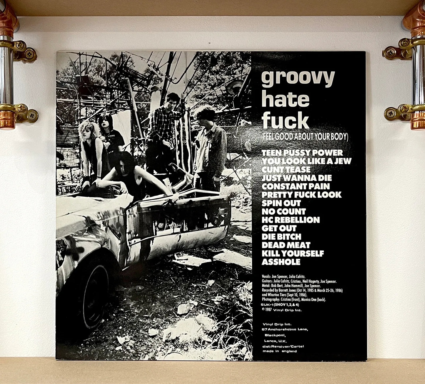Pussy Galore – Groovy Hate Fuck (Feel Good About Your Body)