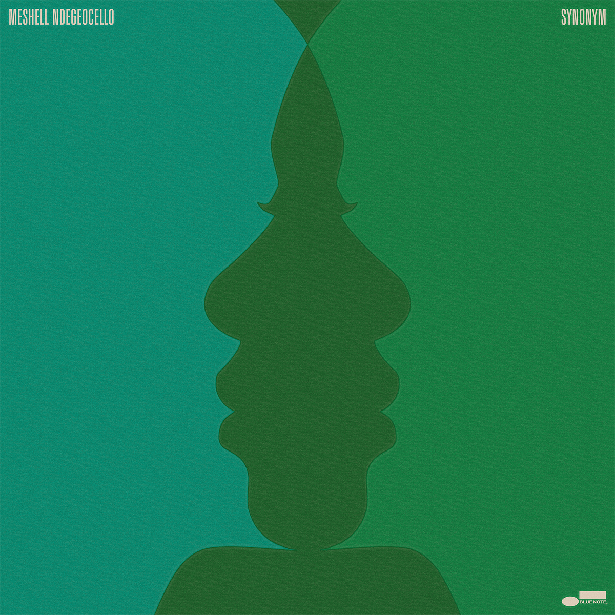 Meshell Ndegeocello – Synonym vinyl artwork