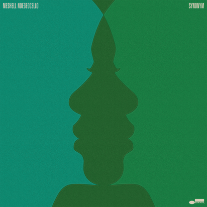 Meshell Ndegeocello – Synonym vinyl artwork