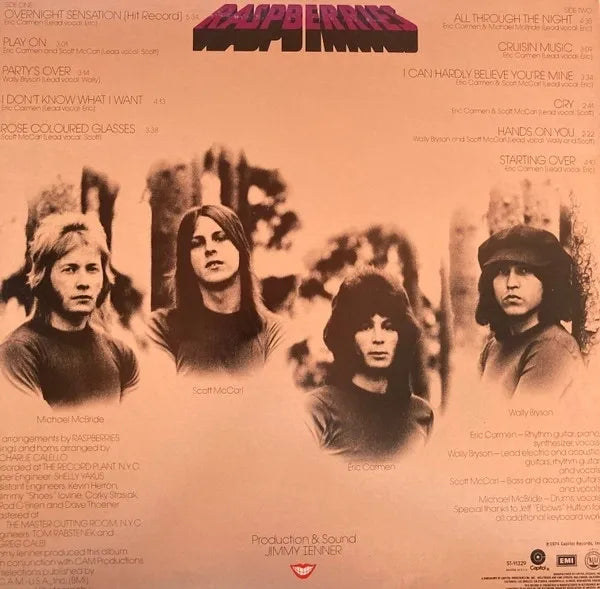 Raspberries – Starting Over