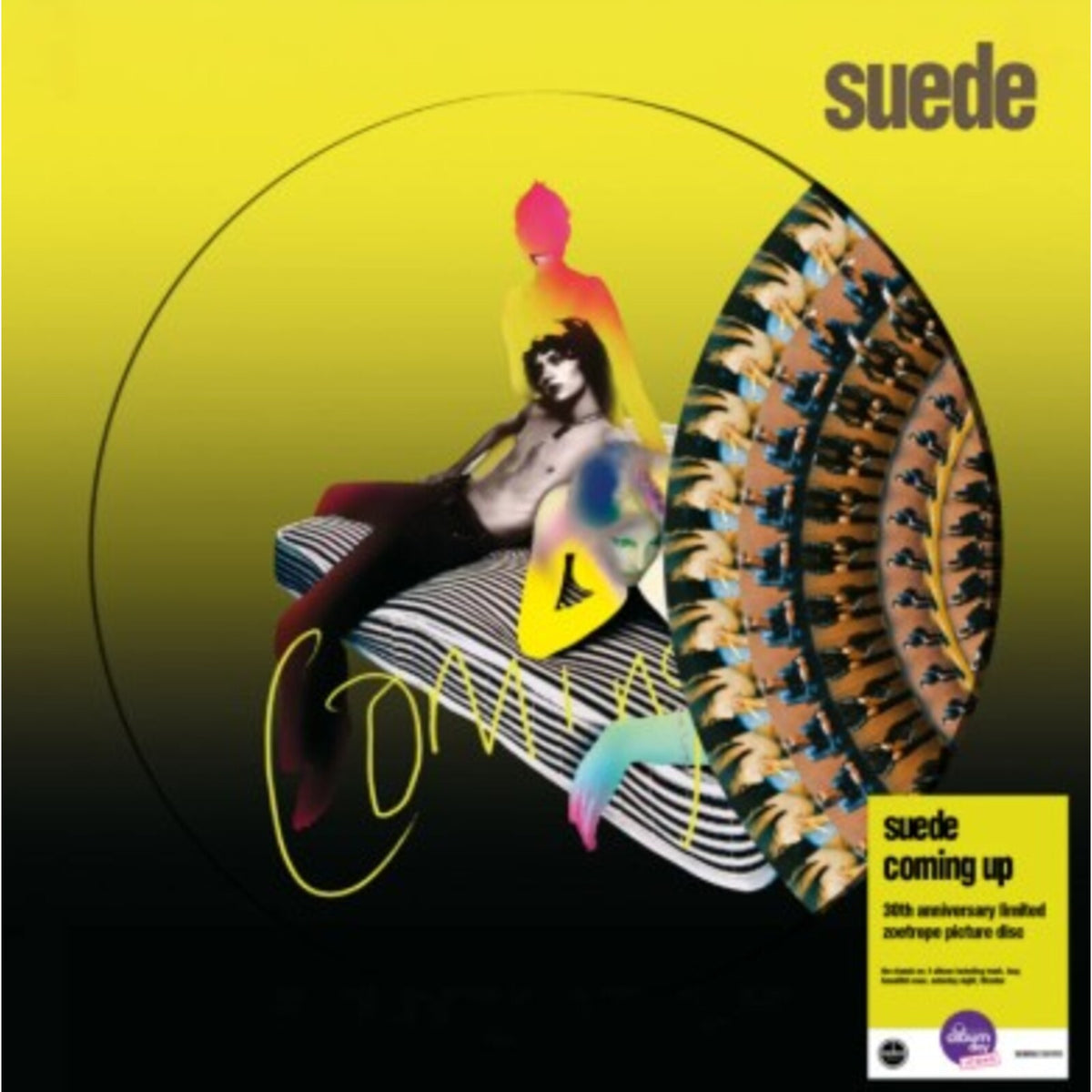 Suede - Coming Up Zoetrope Picture Disc LP