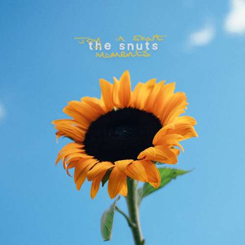 The Snuts — Joy In Short Moments