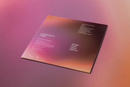 Caoilfhionn Rose – Draw Out Your World vinyl packshot