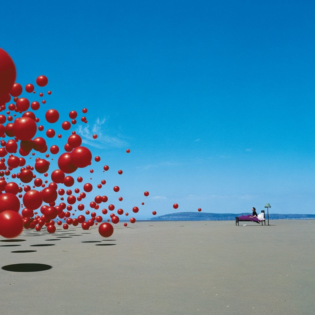 The Cranberries – Wake Up And Smell The Coffee (25th Anniversary Edition) cover
