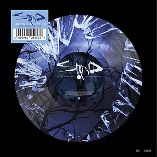STAIND_Breaking The Cycle_PICTUREDISC
