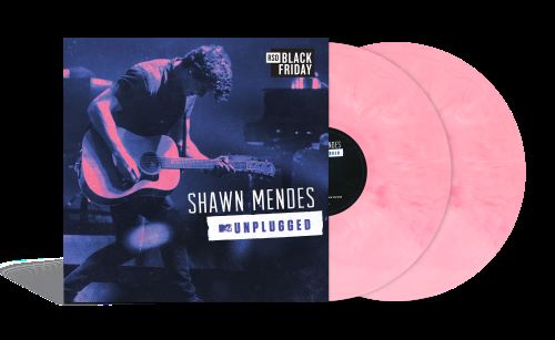 shawn mendes mtv unplugged